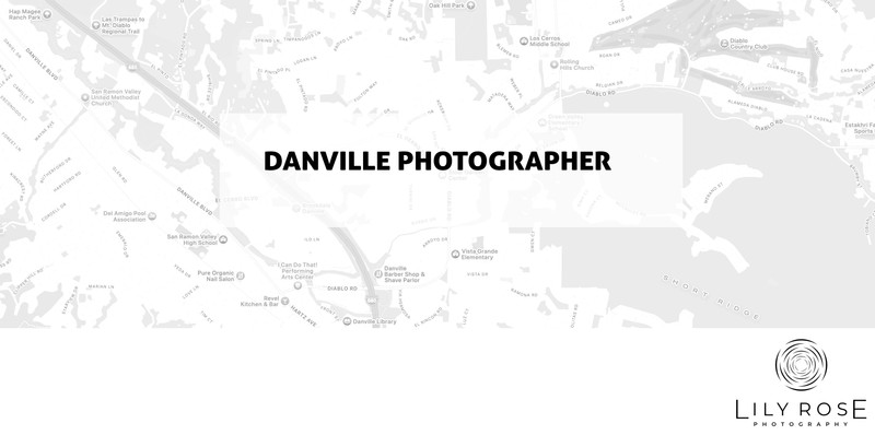 Danville Wedding and Portrait Photographers Danville Wedding and Portrait Photographers