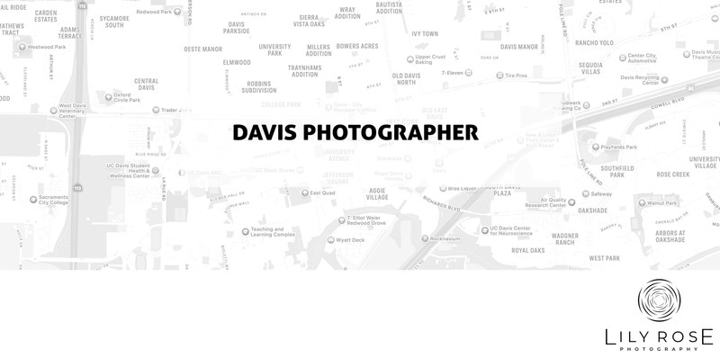Davis Wedding and Portrait Photographers Davis Wedding and Portrait Photographers