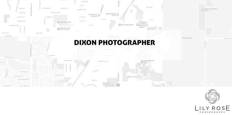 Dixon Wedding and Portrait Photographers Dixon Wedding and Portrait Photographers