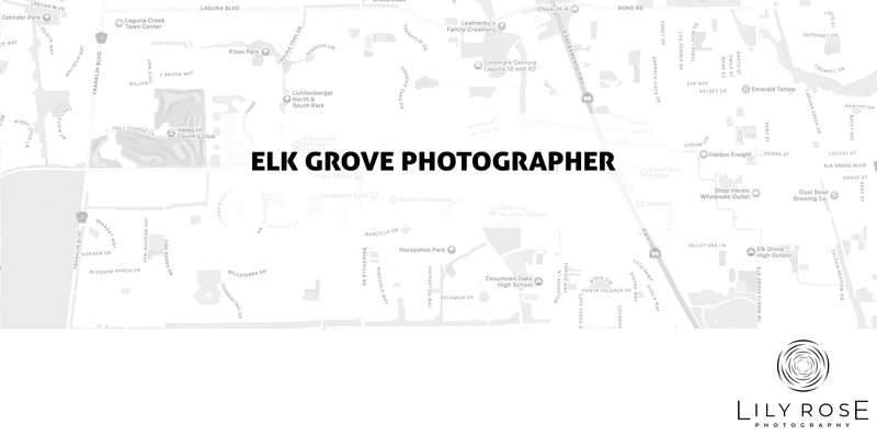 Elk Grove Wedding and Portrait Photographers Elk Grove Wedding and Portrait Photographers