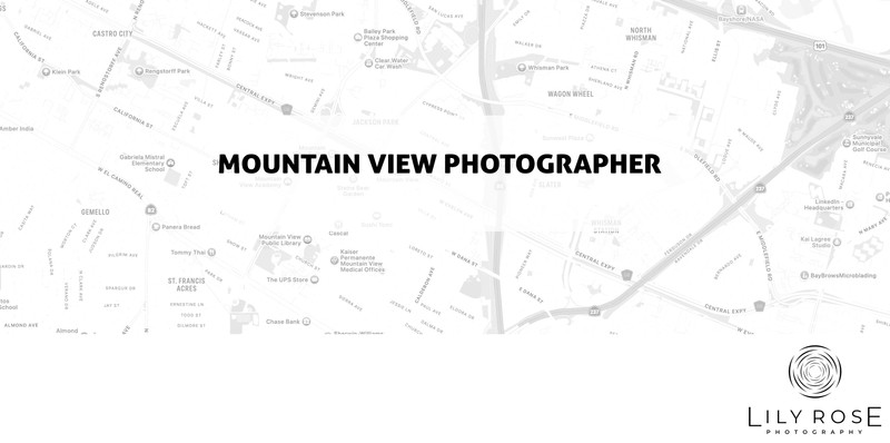 Mountain View Wedding and Portrait Photographers Mountain View Wedding and Portrait Photographers