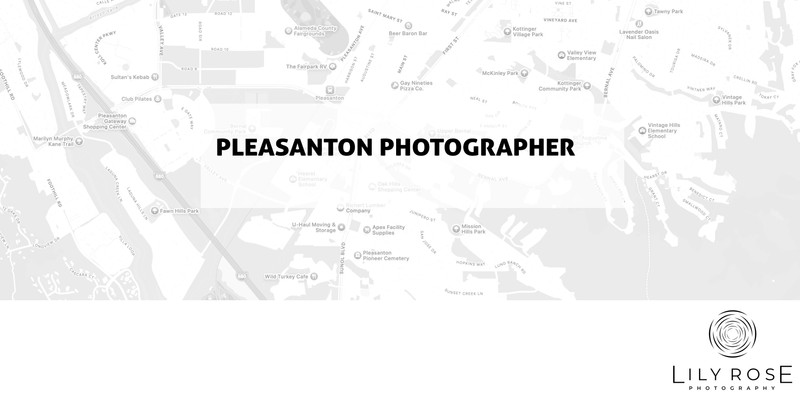 Pleasanton Wedding and Portrait Photographers Pleasanton Wedding and Portrait Photographers