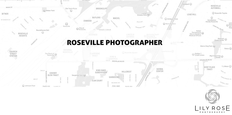 Roseville Wedding and Portrait Photographers Roseville Wedding and Portrait Photographers