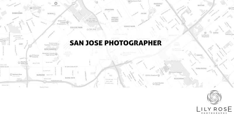 San Jose Wedding and Portrait Photographers San Jose Wedding and Portrait Photographers