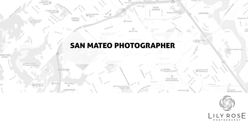 San Mateo Wedding and Portrait Photographers San Mateo Wedding and Portrait Photographers