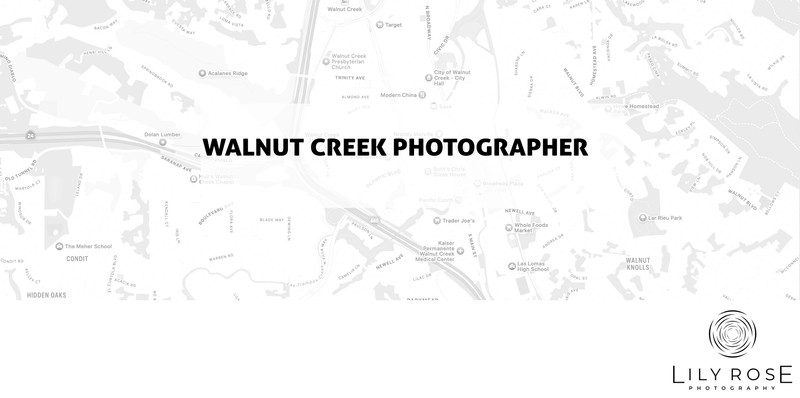 Walnut Creek Wedding and Portrait Photographers Walnut Creek Wedding and Portrait Photographers