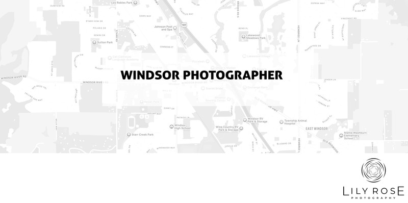 Windsor Wedding and Portrait Photographers Windsor Wedding and Portrait Photographers