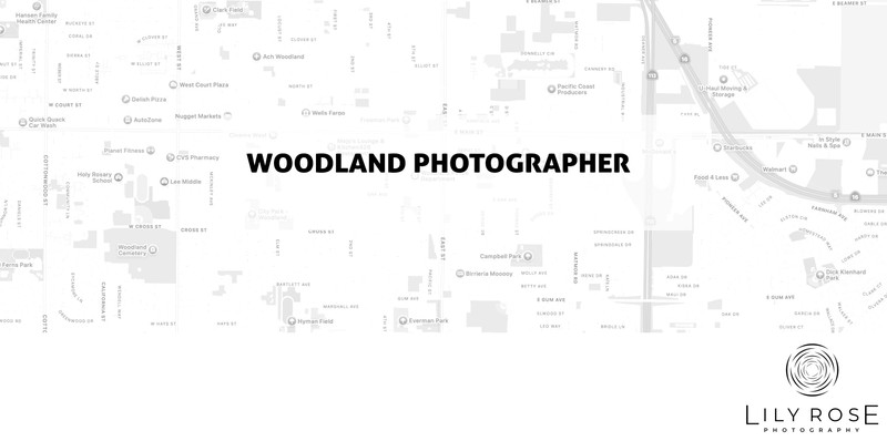 Woodland Wedding and Portrait Photographers Woodland Wedding and Portrait Photographers