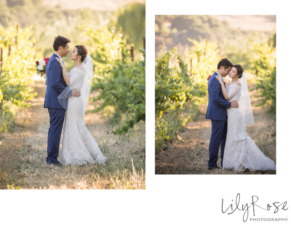 Cline Cellars Vineyard Sonoma Wedding Photographers