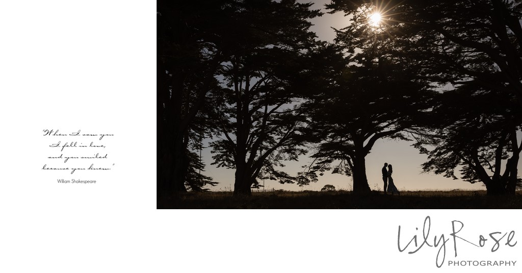 Best Engagement and Wedding Photographers in Sonoma
