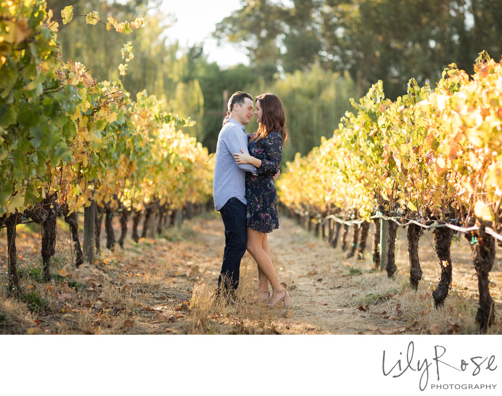 Sonoma Winery Engagement Couple
