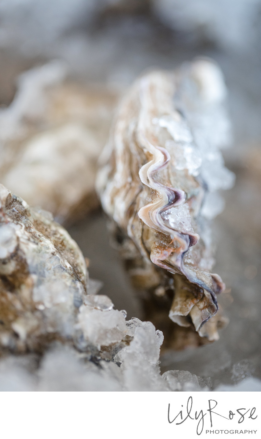 Oyster Detail at a Wedding Reception