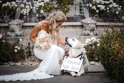 Micro Ledson Wedding with Dog Labrador Retriever