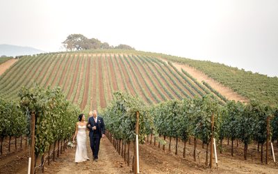 Bride and Groom Sonoma Photography Wedding Kunde Winery