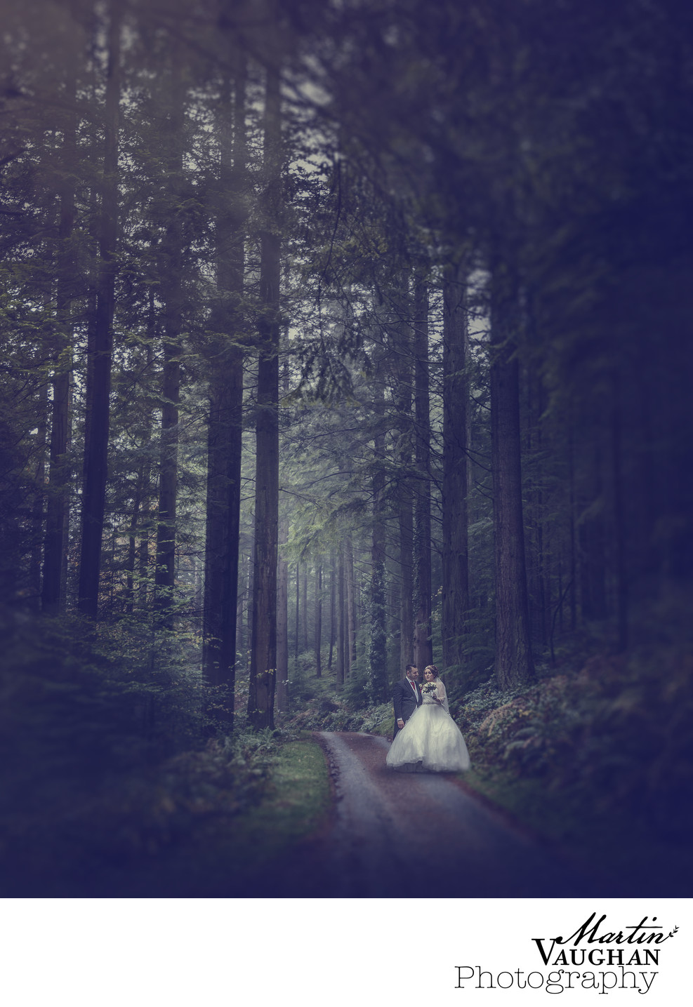 North wales wedding photography deep in the forest