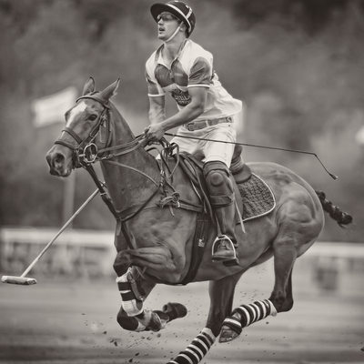 Polo images at Chester Racecourse 