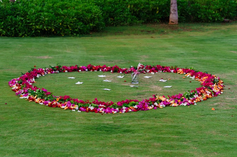 Bougainvillea proposal heart Half Moon Jamaica Bougainvillea proposal heart Half Moon Jamaica