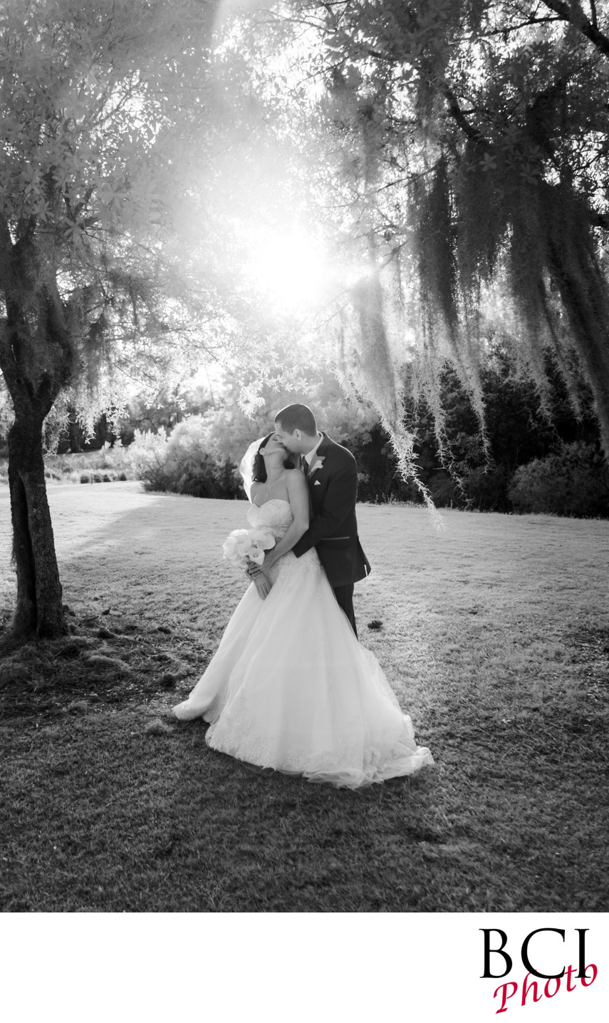 Palm Beaches most incredible wedding photography