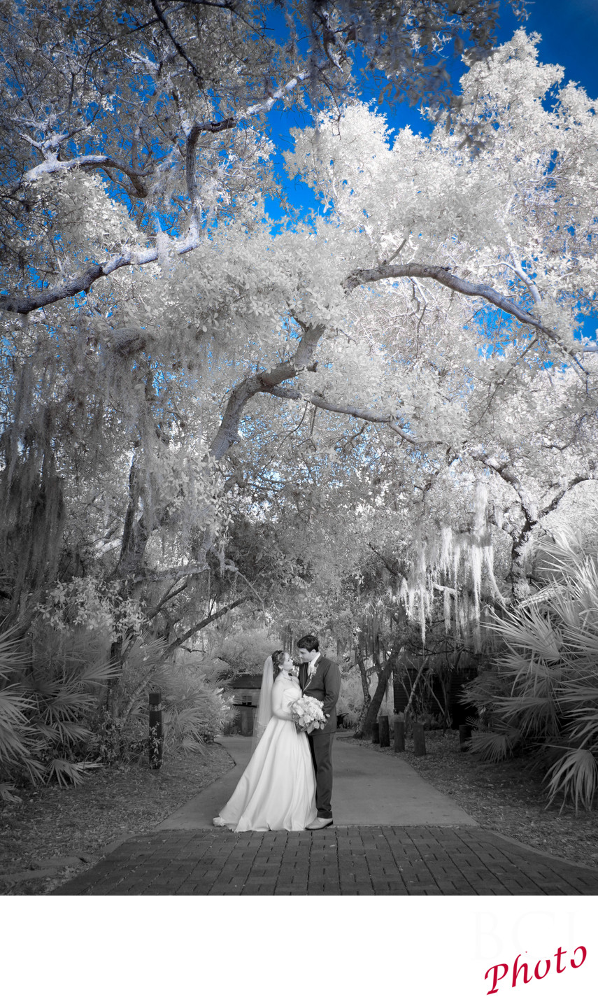 Infrared wedding image from Harbour Ridge.