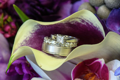 Wedding Rings on a Cala Lilly