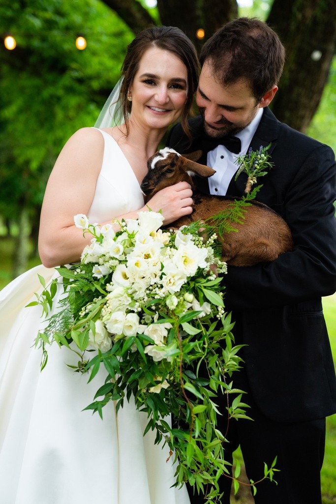 Goat Cuddle at Barn at Highpoint Farms Wedding Goat Cuddle at Barn at Highpoint Farms Wedding