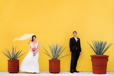 Destination Wedding Photographer Los Cabos Mexico