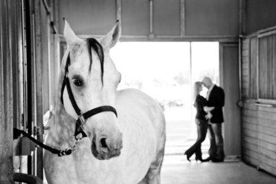 engagement session horse, Hollister  photographer