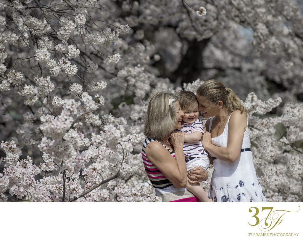 Cherry Blossom Mini Sessions in Tokyo for Families