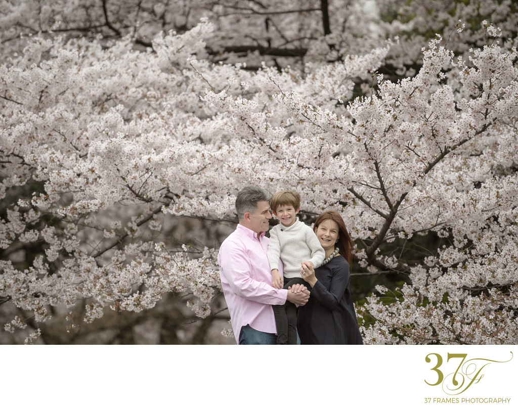 The Best Cherry Blossom Family Portrait Locations