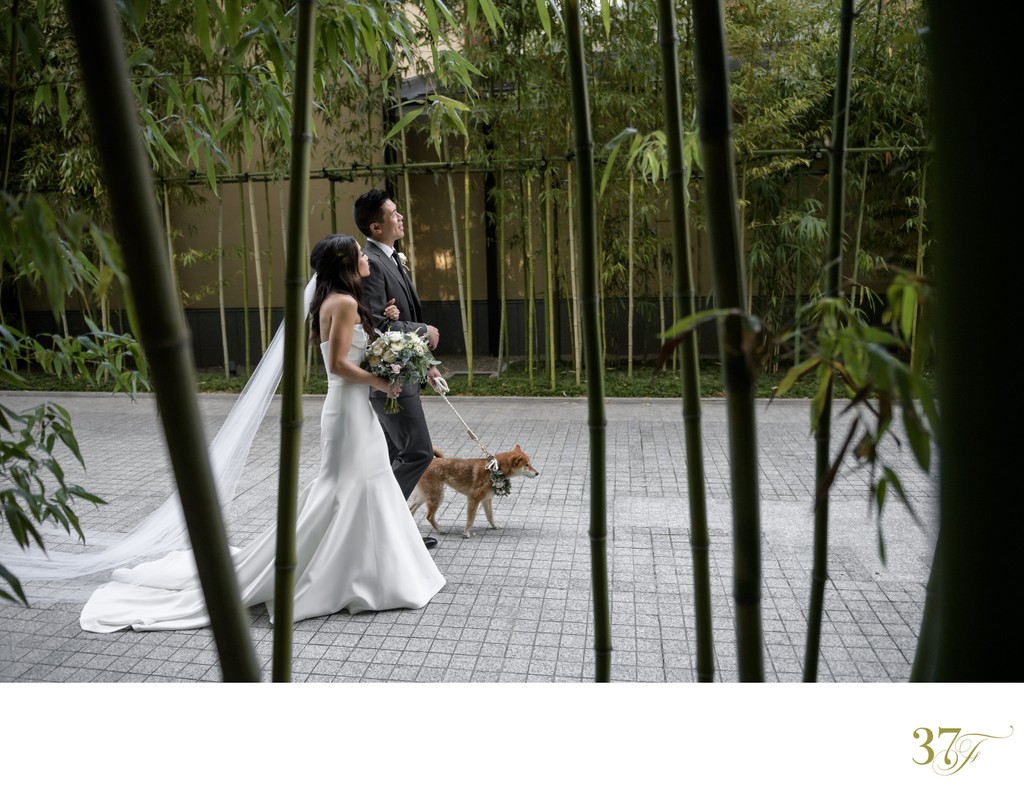 Bride and Groom | Puppy Love