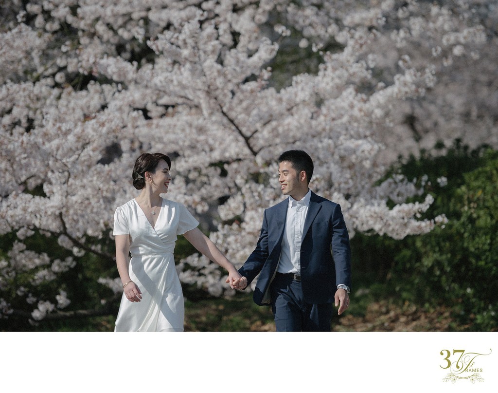 Destination Wedding Japan | Cherry Blossoms