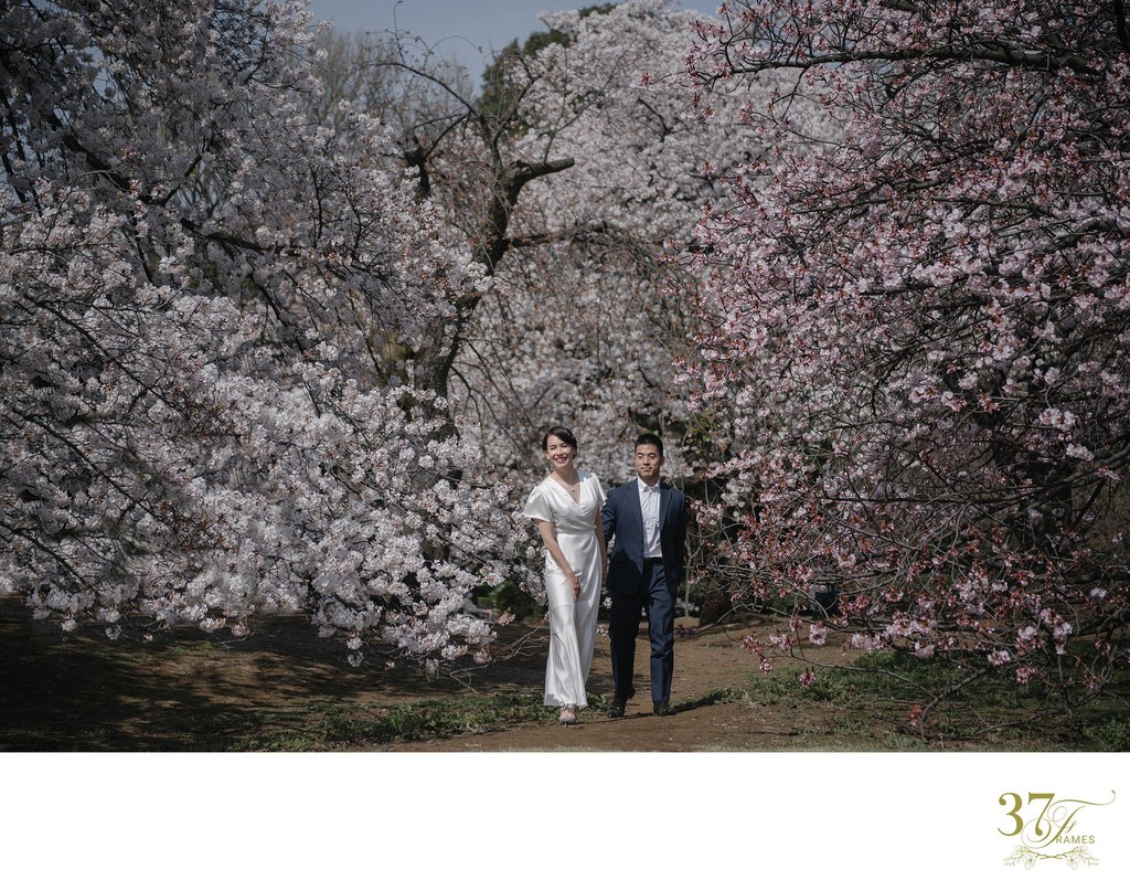Elopement in Japan | Cherry Blossoms