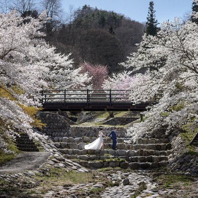 Best Sakura Pre-Wedding Photos Japan
