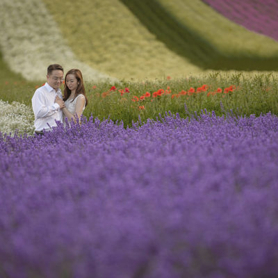 Wedding photos in the Lavender of Hokkaido