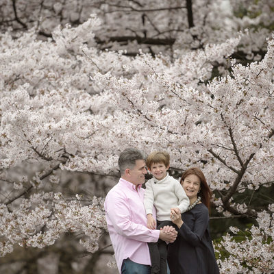 The Best Cherry Blossom Family Portrait Locations