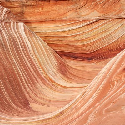The Wave. Coyote Buttes. 