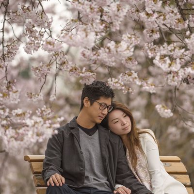 Cherry Blossom Couple Portraits | Tokyo Photographers