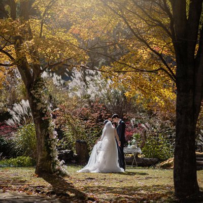Intimate Autumn Elopement in Karuizawa | Elope in Japan