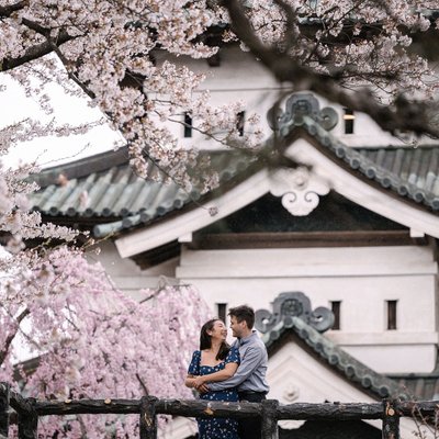 Aomori Cherry Blossom Videography: Elopements & Proposals