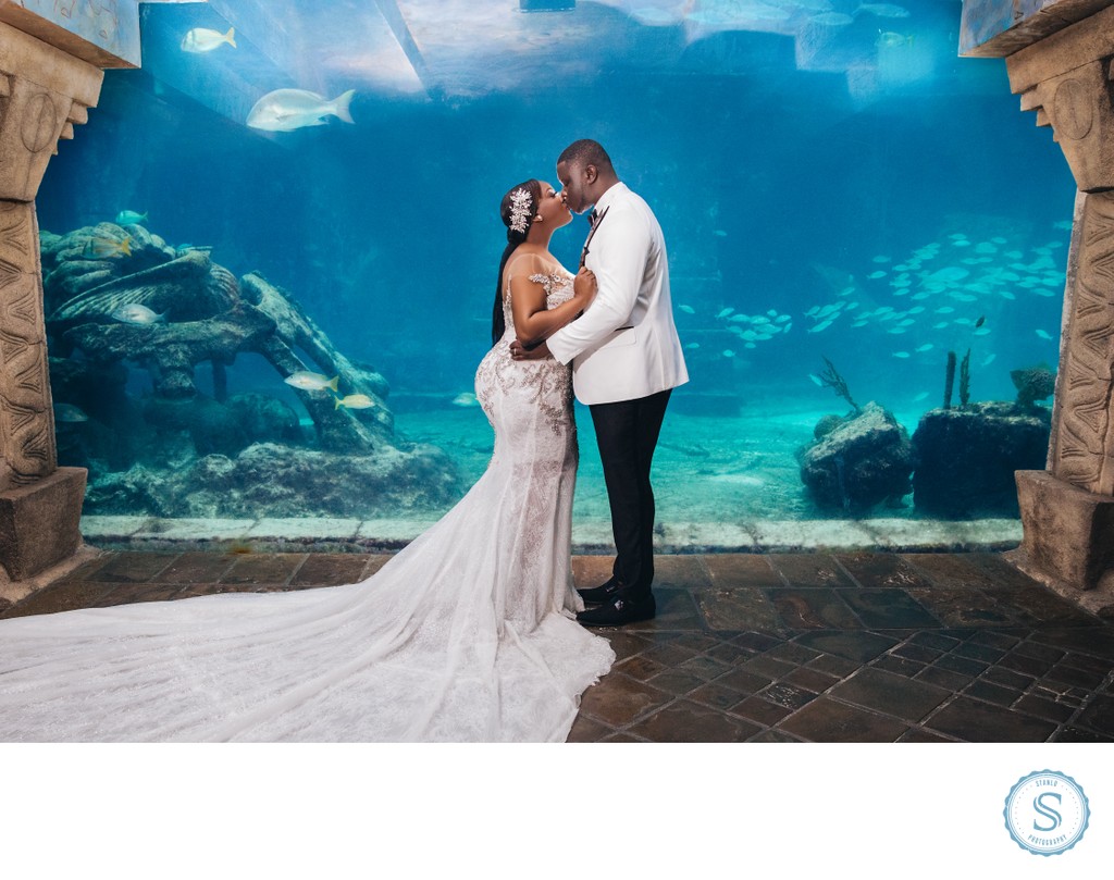 Atlantis Aquarium Bride