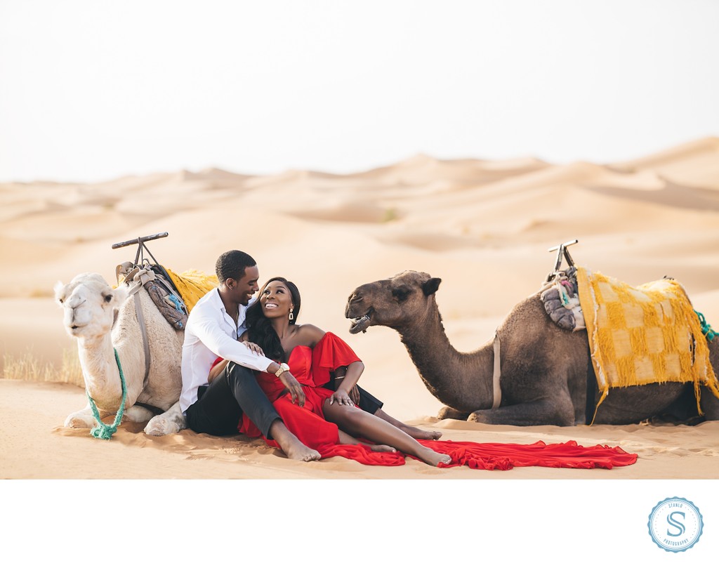 Morocco Camel Engagement 