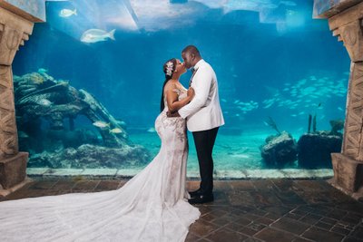 Atlantis Aquarium Bride