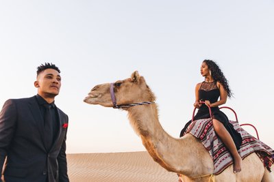 Dubai Camel Engagement