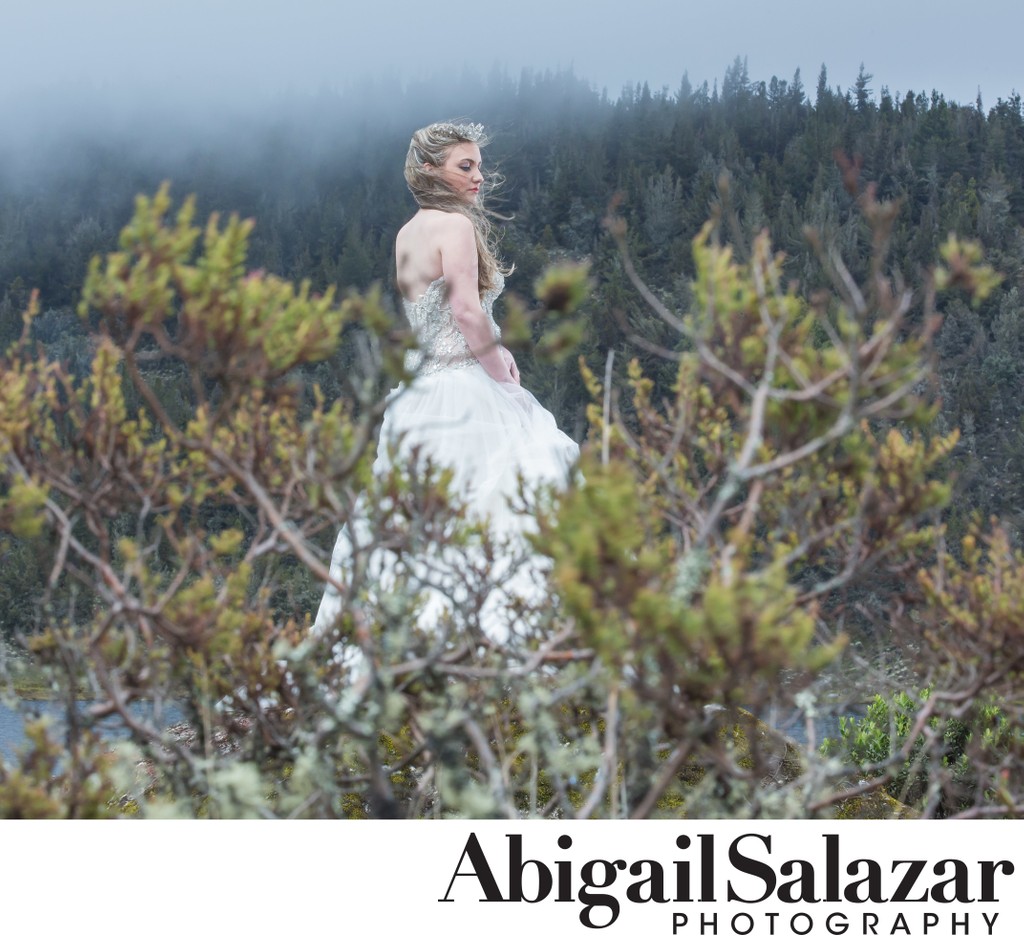Innovative wedding photography: Bride in the woods