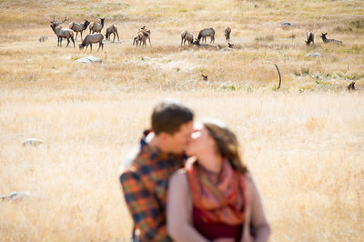 Moraine Park engagement photo with elk