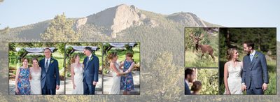 Wedding portraits with elk Della Terra Mountain Chateau