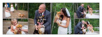 Bride & Groom with their dogs at Wild Basin Lodge