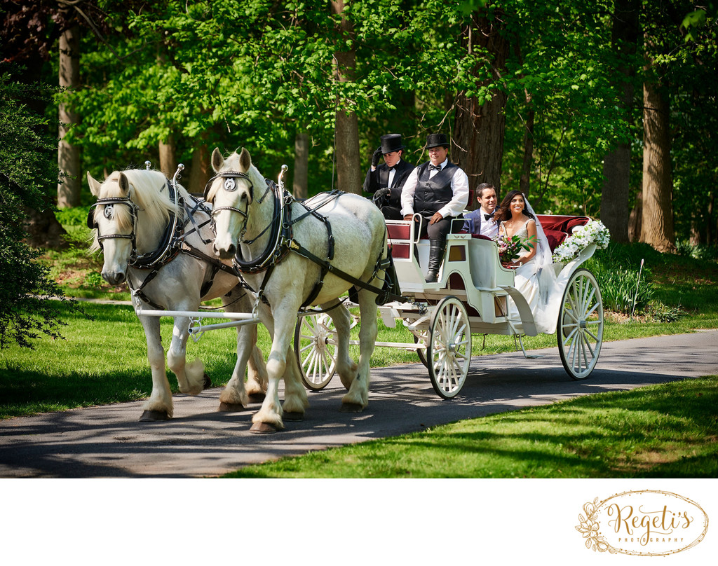 Horse and Carriage at Rosemont Manor, Berryville