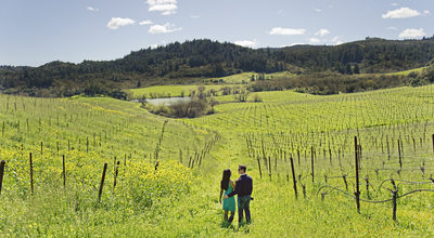 Destination Engagement Photography in Napa, California