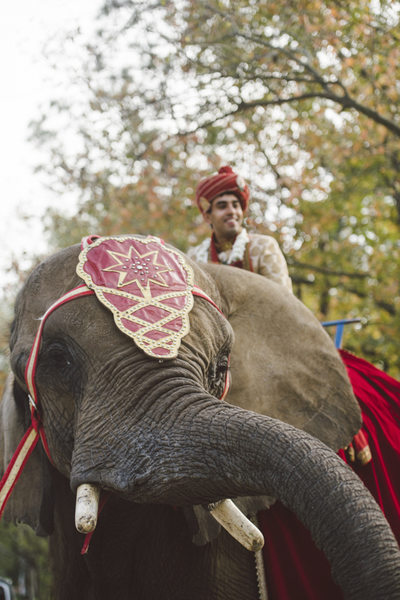 The Groom on Elephant Weddings at Chateau Cocomar